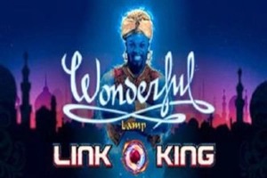 25867 link king wonderful lamp